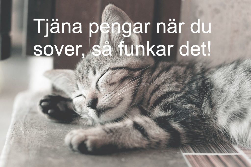 tjäna pengar när du sover