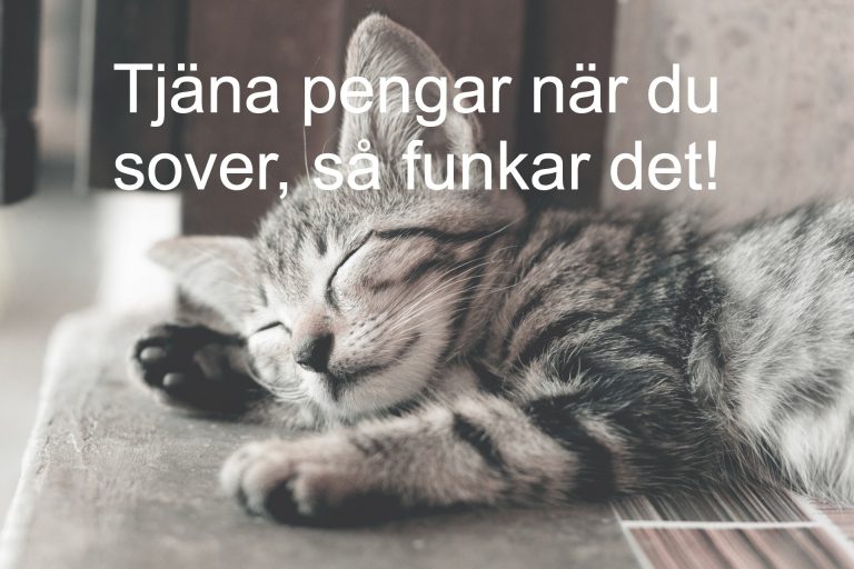 tjäna pengar när du sover